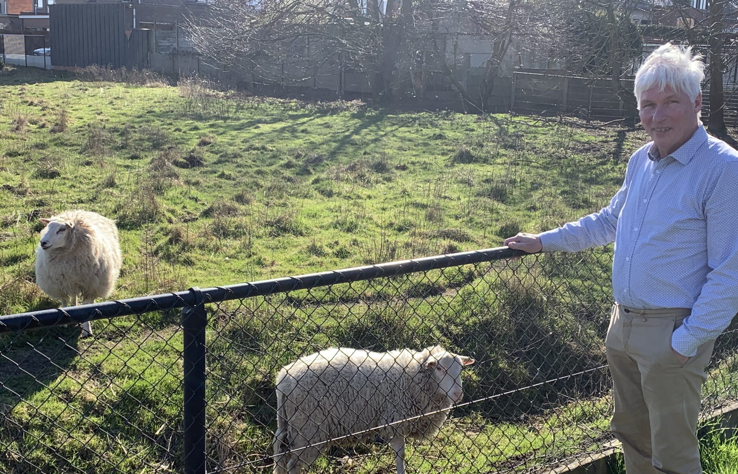 Bart Smits ruilt job als financieel directeur in voor zorg voor schapen