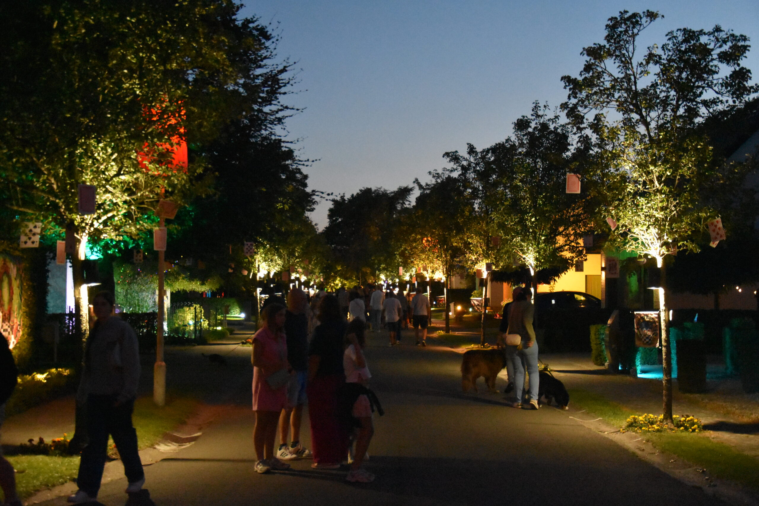 Lichtfeesten laten de kunstenaars los in Reet